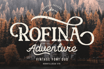 Rofina Font: Elegant Design for Modern Creative Projects